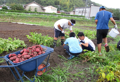 畑作業