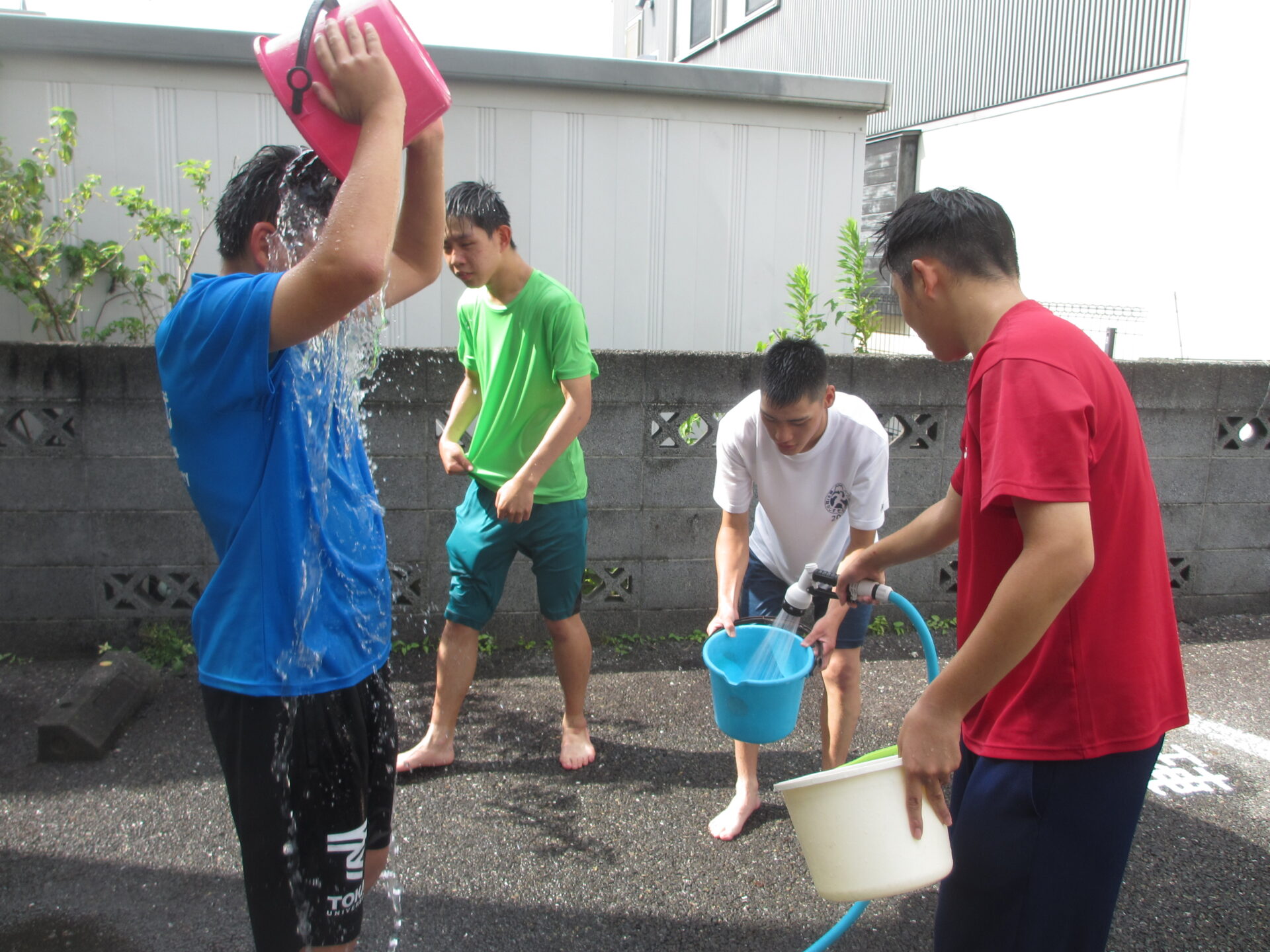 ７月の活動