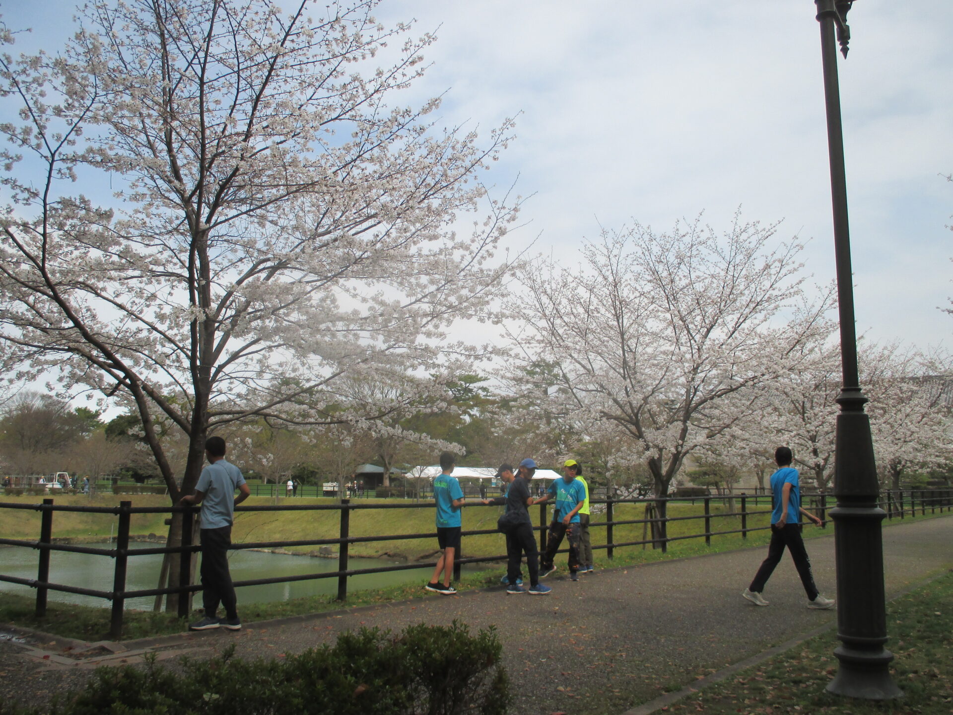 3月の活動